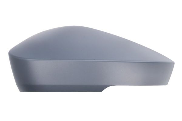 Cover, exterior mirror BLIC 6103-43-2355312P