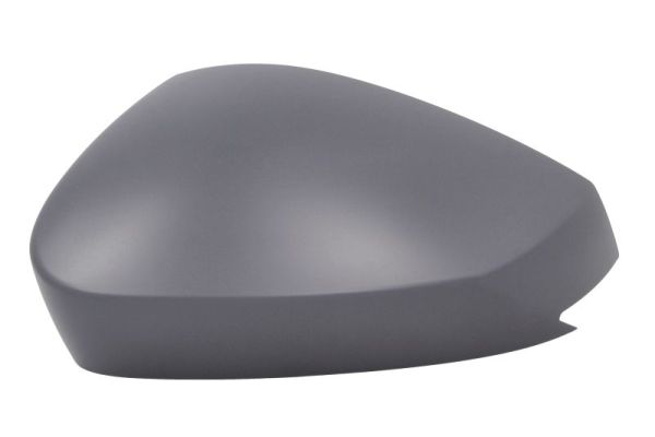 Cover, exterior mirror BLIC 6103-43-2557312P