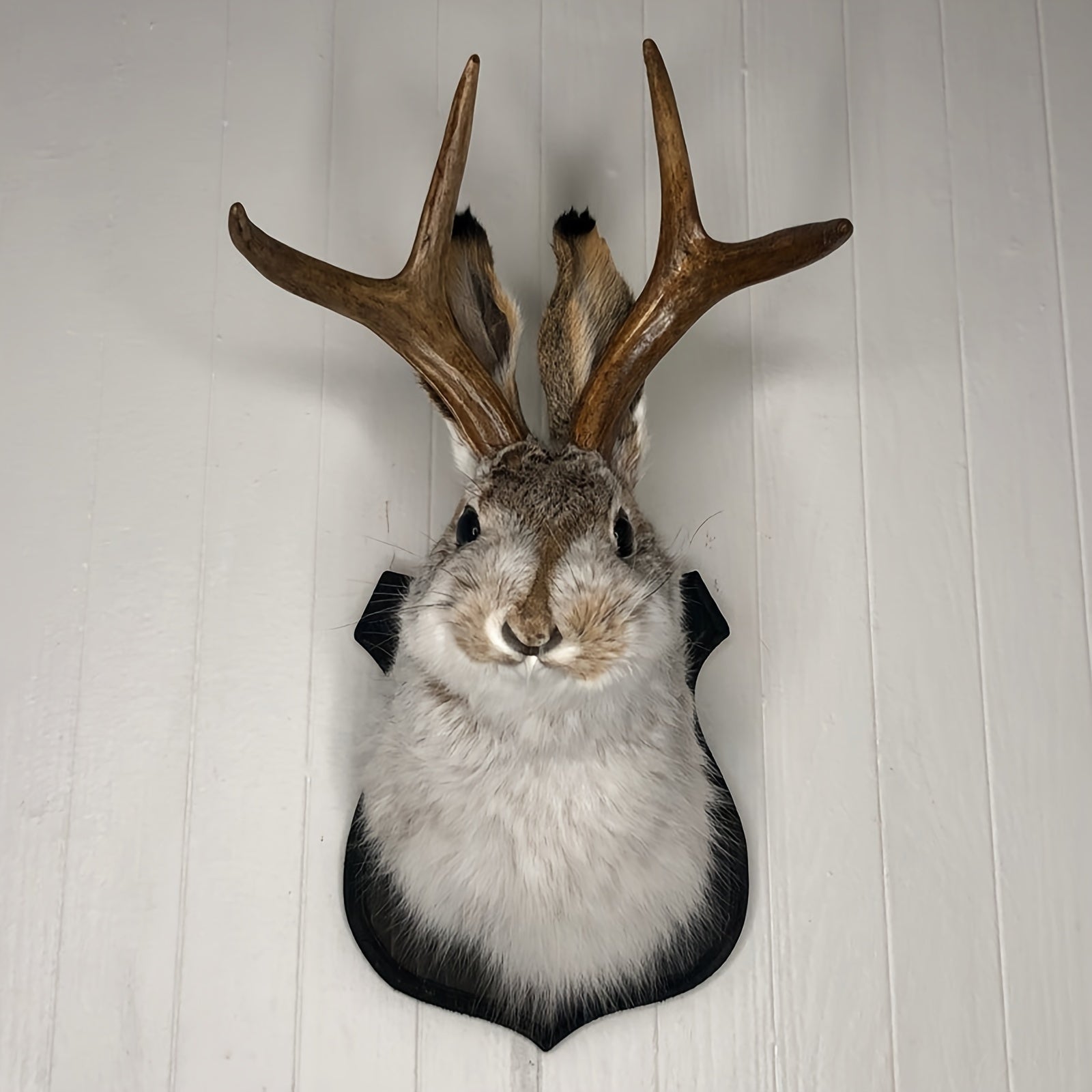 TEMU Mount, Easter Bunny Wall Decor, Taxidermy, Animal Head Wall Decor, Animals Wall Art, Resin Deer Head Animal Wall Mount, For Home Wall Decoration