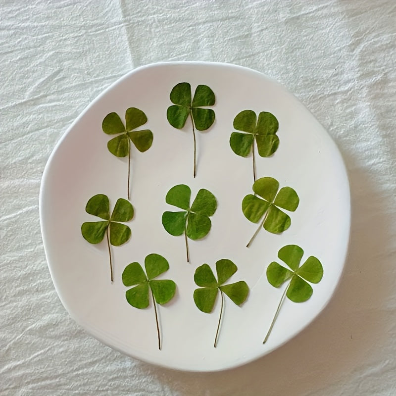 TEMU 30pcs Embossed Clover Used For Dried Flower Phone Cases, Coasters, Diy Dried Flower Eternal Flower Photo Frames, Dried Flower Embossed Hanging