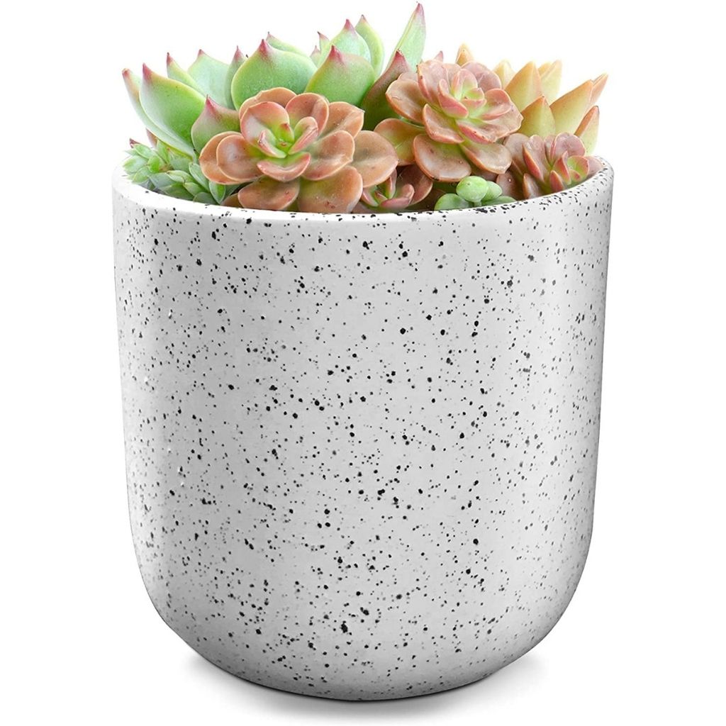 Indoor-Outdoor Speckled Ceramic Pot for Plants - 4.75'' - White
