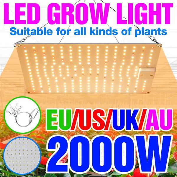 LED Grow Light LED Phytolamp Full Spectrum Lamp Plant Growth Hydroponics Plants Seed Flower Grow Box 1000W 2000W Quantum Board X250205