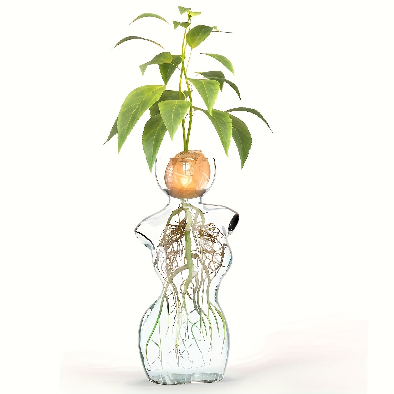 TEMU 1pc Elegant Glass Vase - Geometric H-neck Design For Hydroponic Plant Propagation, Seed Starting & Rooting - High-quality Clear Glass Home Decor