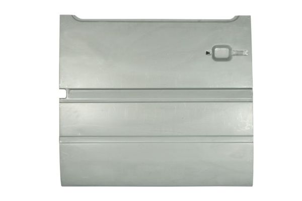 Interior Door Panel BLIC 6508-01-3546160P