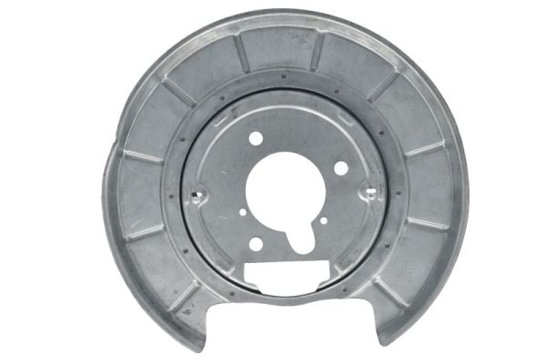 Splash Panel, brake disc BLIC 6508-03-5536878P