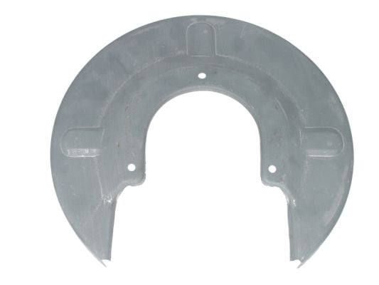 Splash Panel, brake disc BLIC 6508-03-9558379P