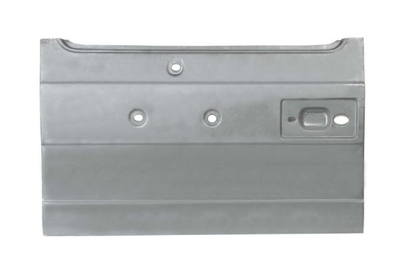 Interior Door Panel BLIC 6508-04-3501721P