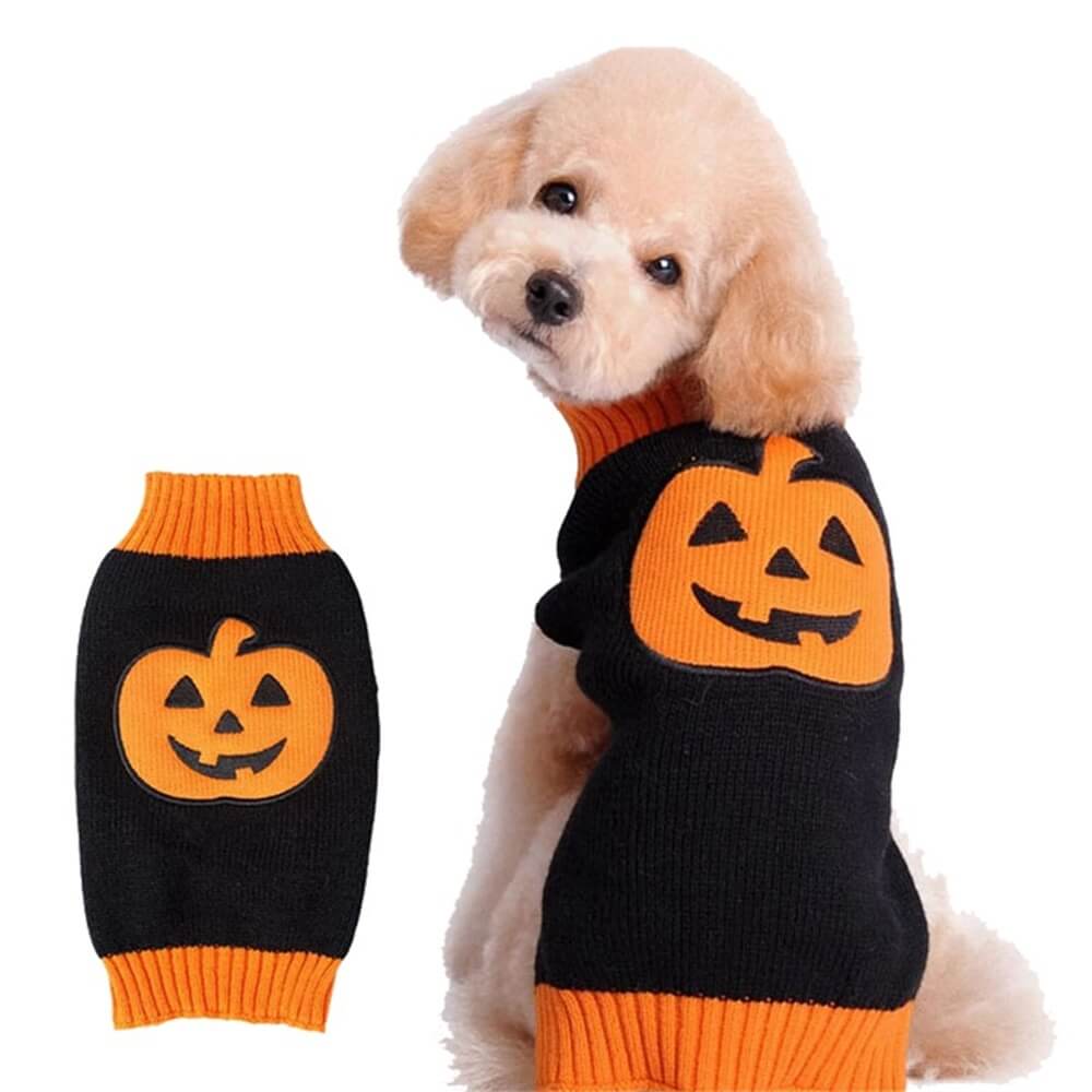 Halloween Pet Sweater | Warm & Cozy Halloween Pattern Dog Clothing, Halloween Pumpkin - M
