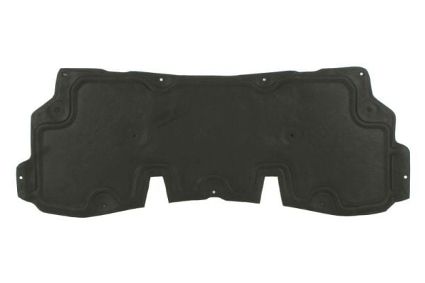 Engine Compartment Noise Insulation BLIC 6804-00-1617290P