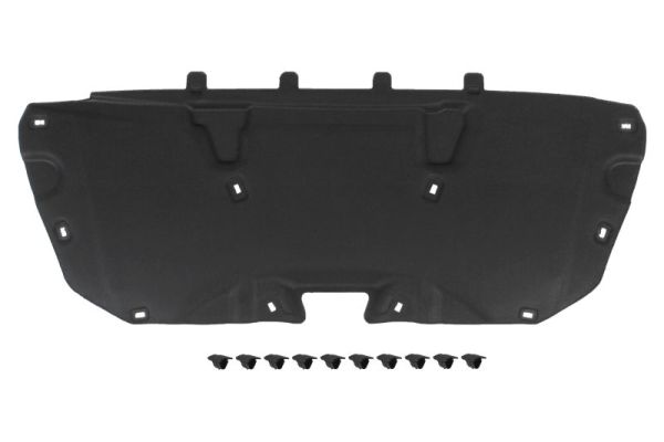 Engine Compartment Noise Insulation BLIC 6804-00-2536290P