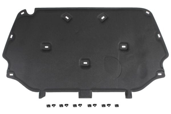 Engine Compartment Noise Insulation BLIC 6804-00-2537290P