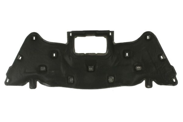 Engine Compartment Noise Insulation BLIC 6804-00-2579290P