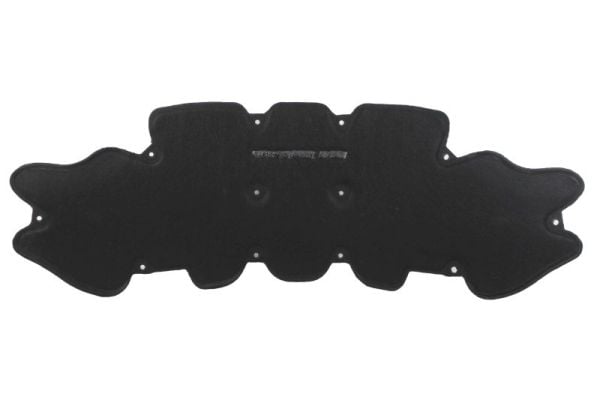 Engine Compartment Noise Insulation BLIC 6804-00-3585290P