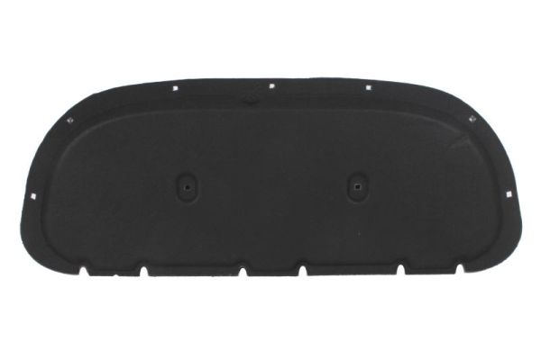 Engine Compartment Noise Insulation BLIC 6804-00-9591290P