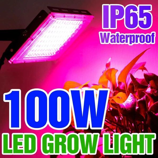 Led Grow Light Plant Hydroponic Lamp LED Full Spectrum 220V LED Phytolamps Light Greenhouse Seeds Flower Grow Lighting 50W 100W Y240816