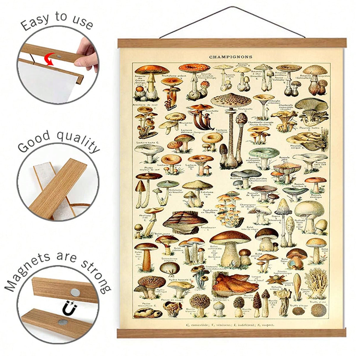 Magnetic photo frame absorb beauty freeze warm moments