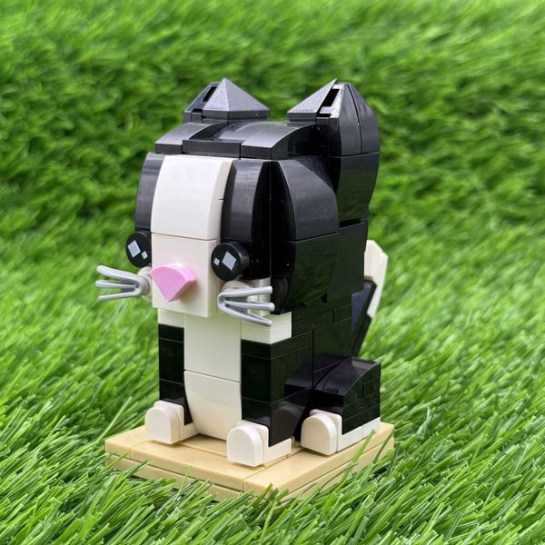 MOC Creative Nature Series Animal Série CAT Brickheadsed Blocks Blocks Tuxedo Cat Modelo Brick Decoration Toys Gifts W250115
