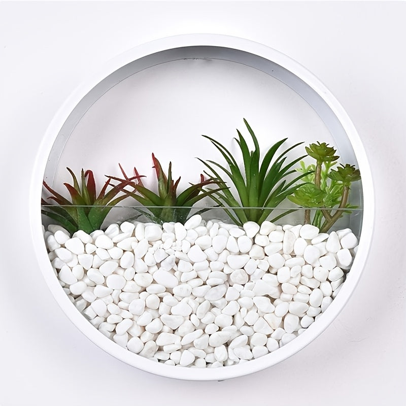 TEMU Versatile Wall-mounted Hydroponic Planter - Lightweight Round Pot For Succulents & Orchids, Ideal For Indoor-outdoor Decor, Contemporary Style
