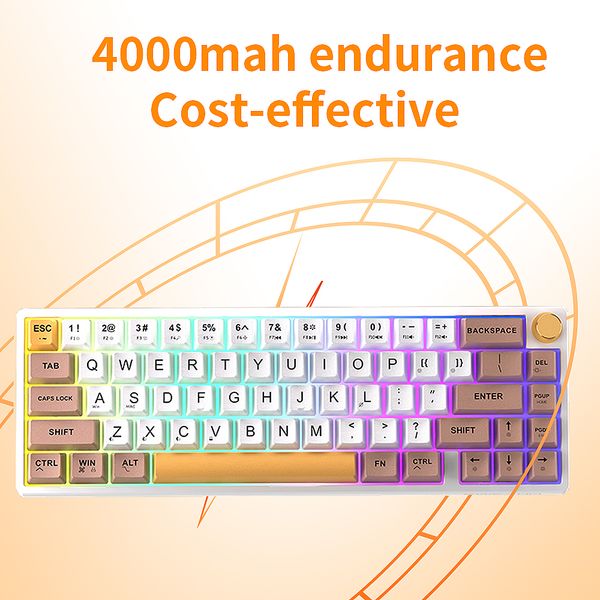 FEKER IK65 VIA Mechanical Keyboard Bt 2.4G Hot Swap Bluetooth Matcha Switch Gasket PBT Keycaps 3Modes RGB 65% Knob Keyboard