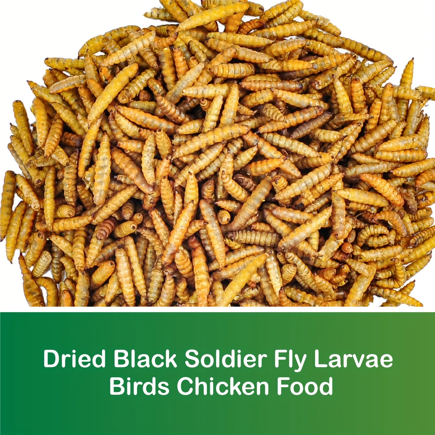 TEMU Dried Fly 10 Lbs - More Than - Chicken Feeder - Treats For Chicken, Duck, Wild Bird, Turtle - Chicken Coop & Bird