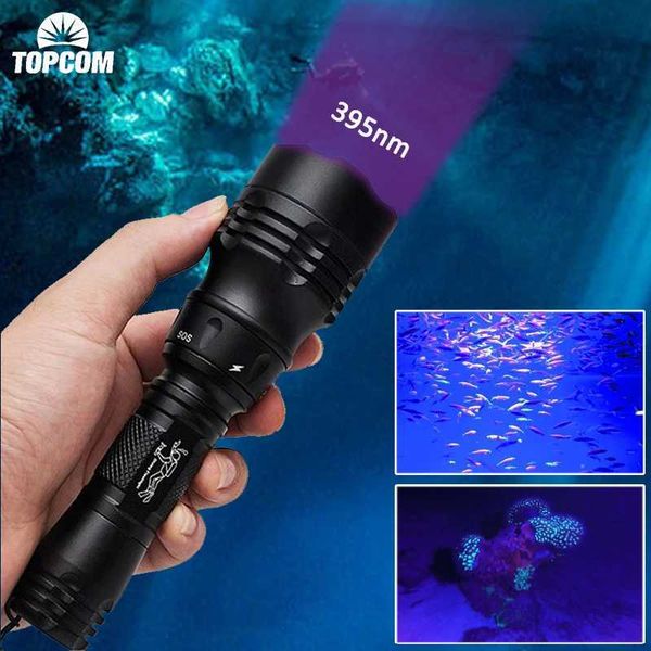 Topcom Professional 395nm UV LED Diving Flashlight Underwater 50m 3W UV Diving Light 5-Mode Ultraviolet Lantern For Fishing Z250211
