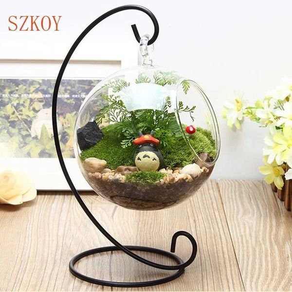 Creative Clear Glass Ball Vase Micro Landscape Air Plant Terrarium Succulent Hanging werpot Container Hot sale Y240905