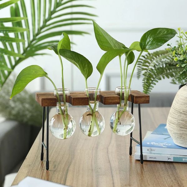 Creative Wooden Frame Hydroponic Plant Container Glass Bulb Vase Home Tabletop Decor Vases Beaker Planter Bonsai 250116