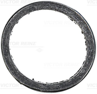 Seal Ring, exhaust pipe REINZ 71-12182-00