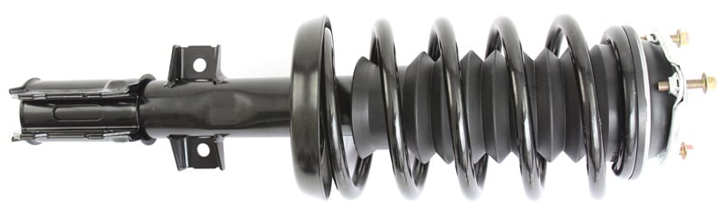 Suspension Kit, springs-shock absorbers Professional Parts 72347811C