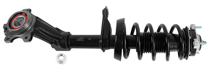 Suspension Kit, springs-shock absorbers Professional Parts 72349405C