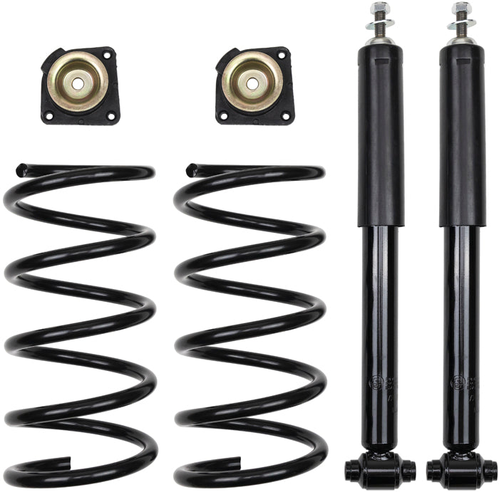 Suspension Kit, springs-shock absorbers Professional Parts 72430406C