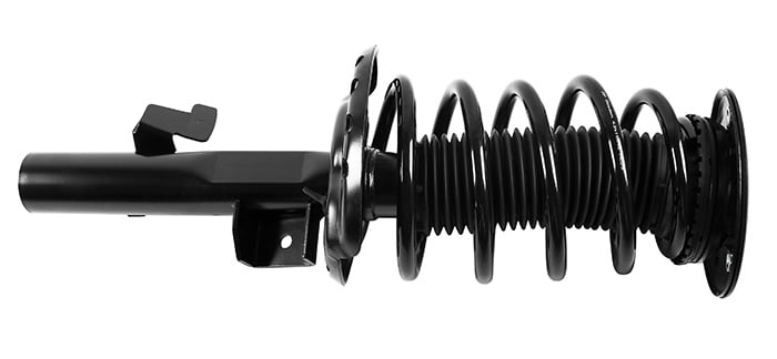 Suspension Kit, springs-shock absorbers Professional Parts 72432171C