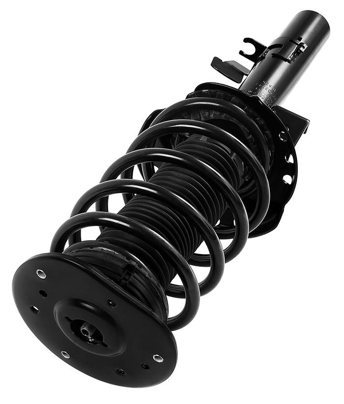 Suspension Kit, springs-shock absorbers Professional Parts 72433748C