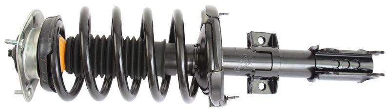Suspension Kit, springs-shock absorbers Professional Parts 72435515C