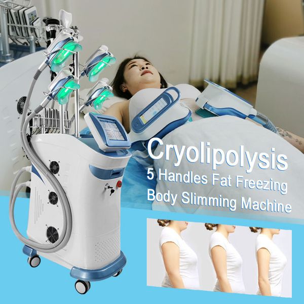 Beauty equipment manufacturer cryolipolysis freeze fat body shape and slim machine middle handle