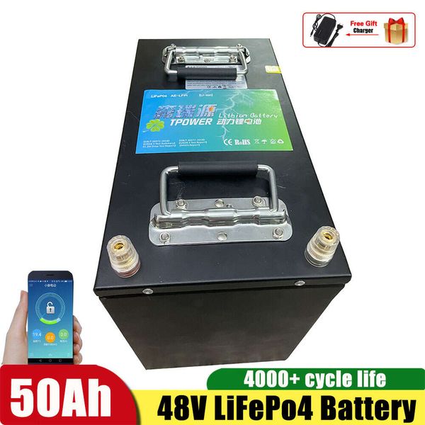 48V 50AH LiFePO4 Battery With BMS Rechargeable Batteries for 750W 2000W Electric Bike E Scooter Bicycle + 5A Charger
