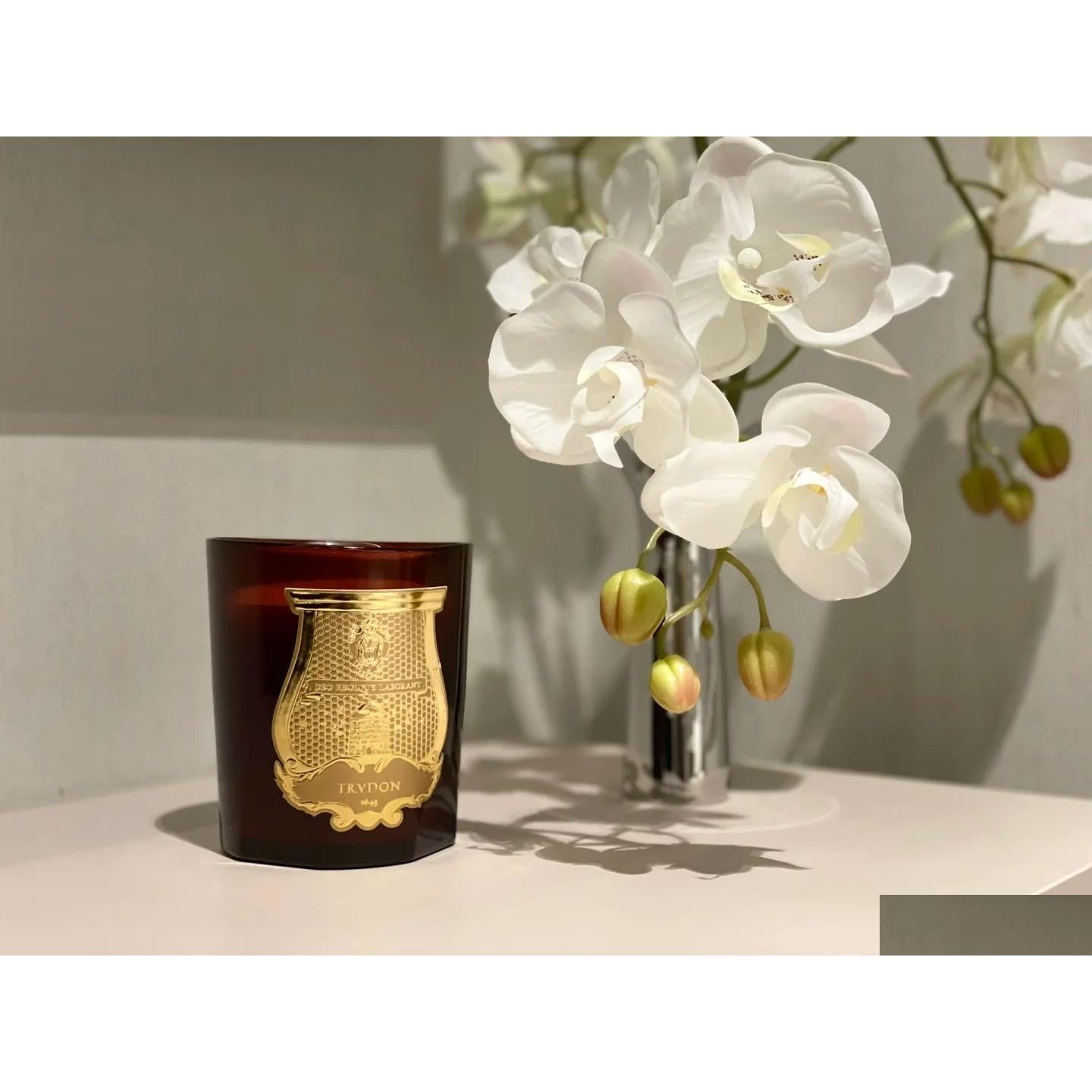 Incense Cire Trudon Cup Scented Candle Home Plaster Aromatherapy Decoration 270Gsoy Wax Fragrance Candles Not Included Drop Delivery Otfy0