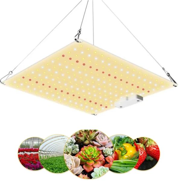 LED Grow Light Samsung LM301B Board 600W Full Spectrum Phyto Lamp for Indoor Veg Flowers Seedling Tent LL