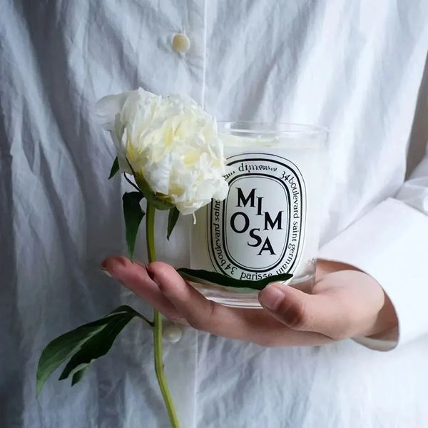 Candles Advanced romantic scented candles French perfume Emotional diffuser Fresh light Home perfume Long lasting air companion perfume gift