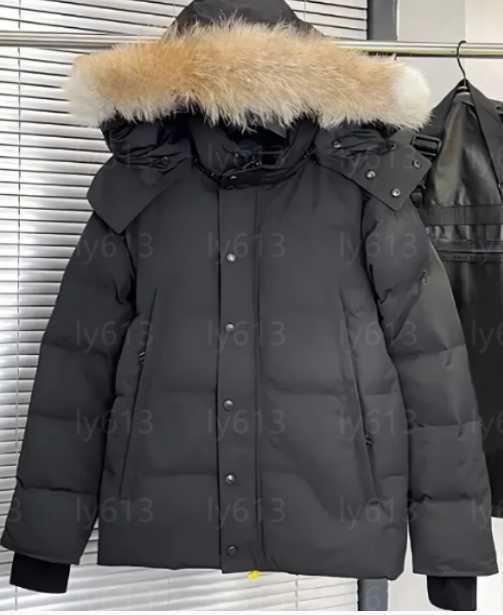 Canadian Designer puffer jacket goosse Mens womens With Badge coat High quality Goossely hooded warm fashion Daily Outfit XS-2XL