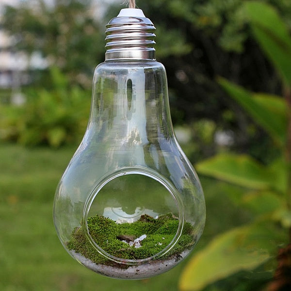 Bulb Shape Hanging Glass Planter