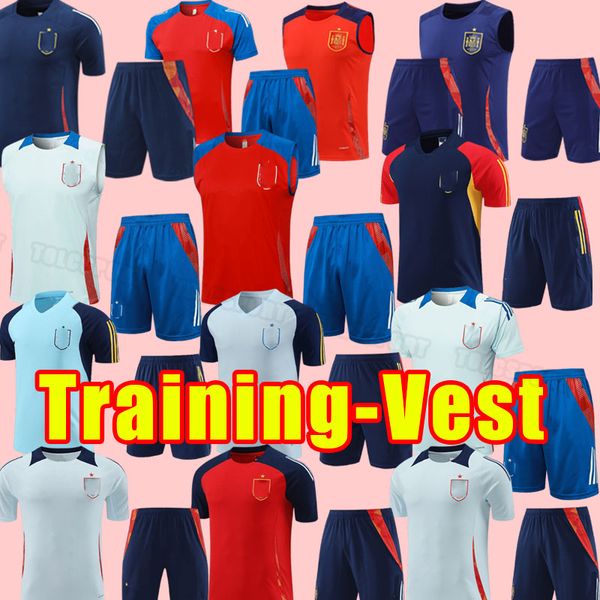 2024 SpaIN soccer tracksuits Espana ANSU FATI ASENSIO MORATA FERRAN KOKE GAVI AZPILICUETA C.SOLER 24 25 WORLD RAMOS CUP short sleeve tracksu