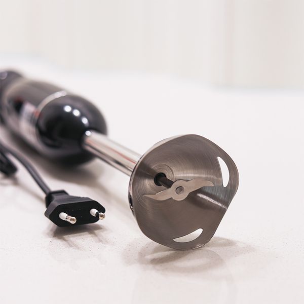 Dessini Black Color Stick Electric Mixer Hand Blender Meat Cutter For Kitchen High Quality Vegetable Mixer