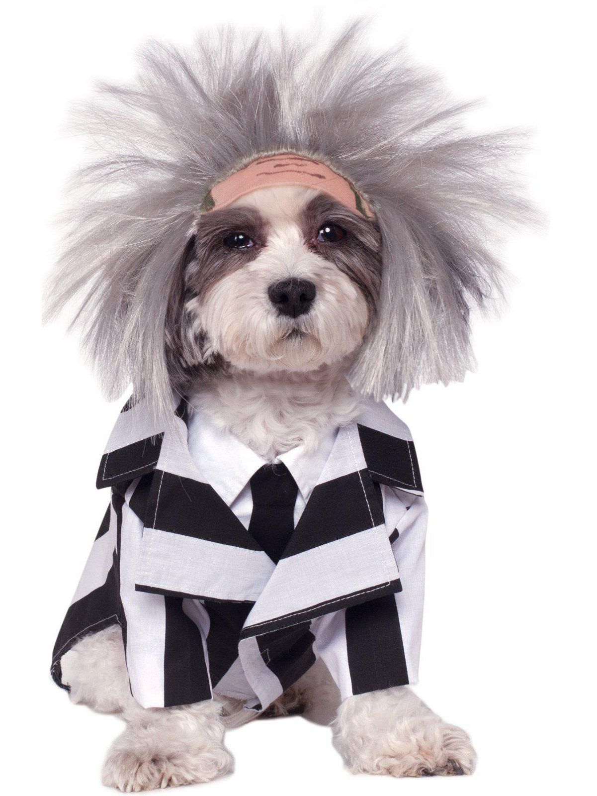 Beetlejuice Pet Costume