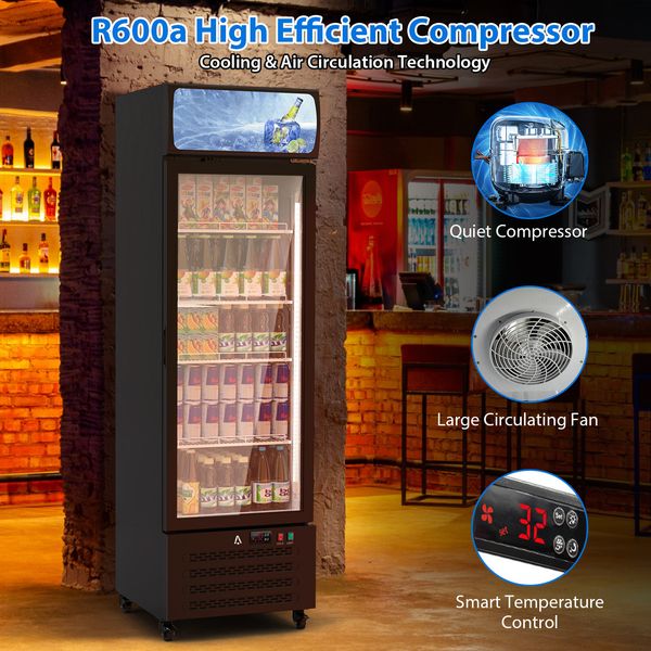 Commercial Glass Door Display Refrigerator, 11.5 Cu. Ft. Merchandiser Fridge Upright Beverage Cooler With LED Light