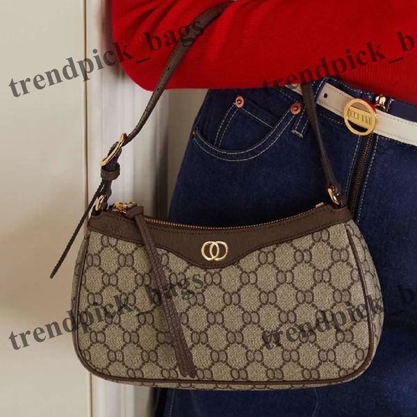 Designer Bag Shoulder Bags Half Moon Leather Bag with Chain Classical Clutch Geometric Flap Luxury Fashion Women&#039;s Handbag Coin Purse C