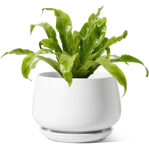 Ceramic plants 10 inch plant jars indoor with drainage holes and sauces 240823