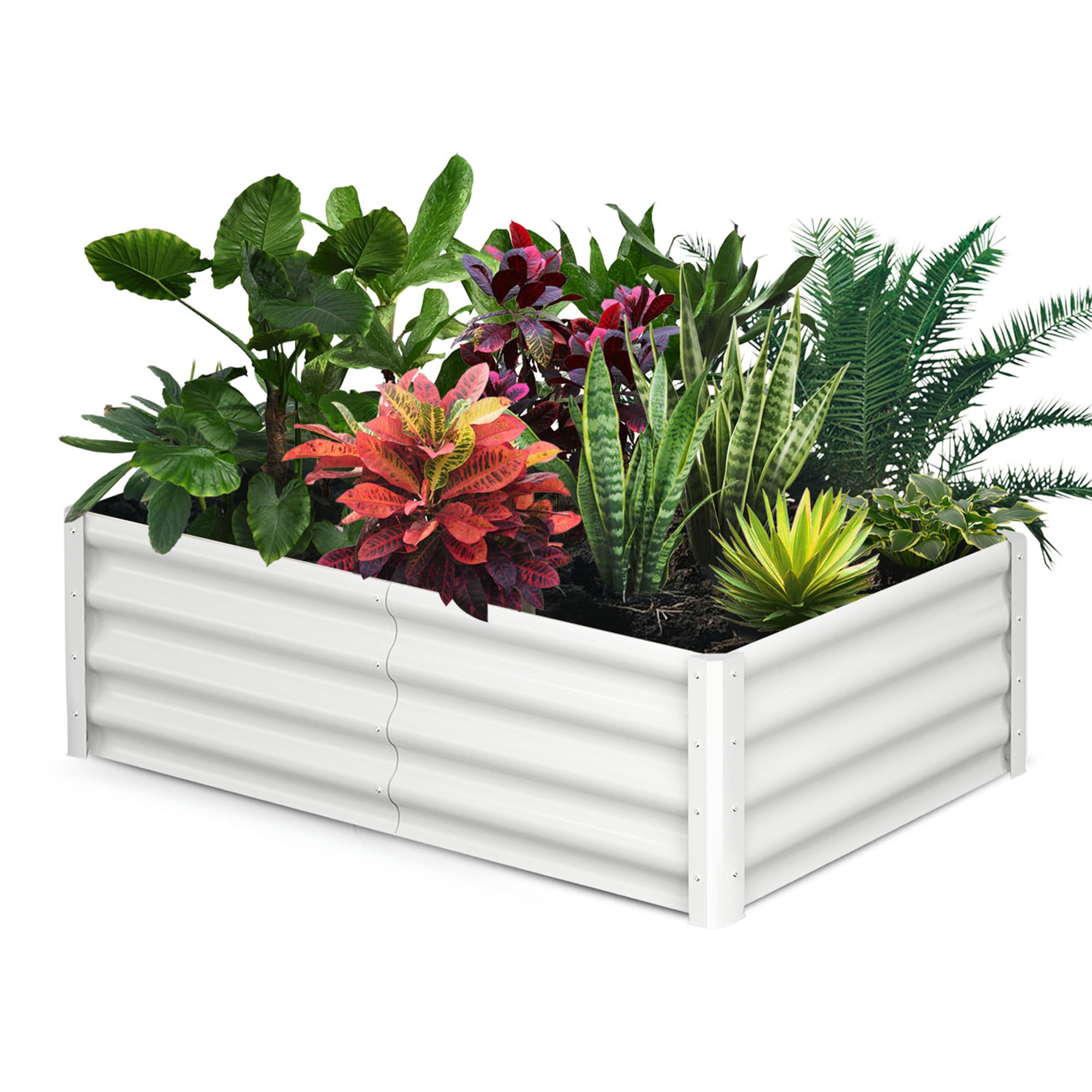 Garvee 6' X 3' X 1' Galvanized Raised Garden Bed, Outdoor Rectangular Metal Planter for Vegetables, Flowers & Herbs, White