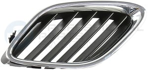 Radiator Grille Professional Parts 82347999