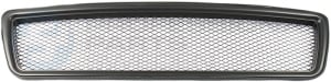 Radiator Grille Professional Parts 82430020